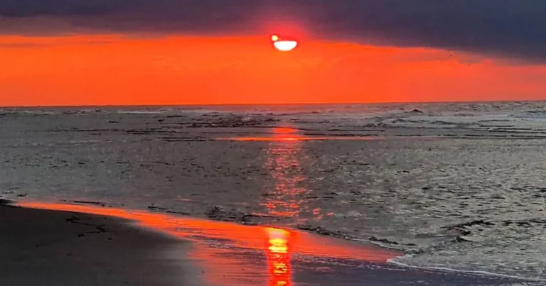 Afscheid van Nederland